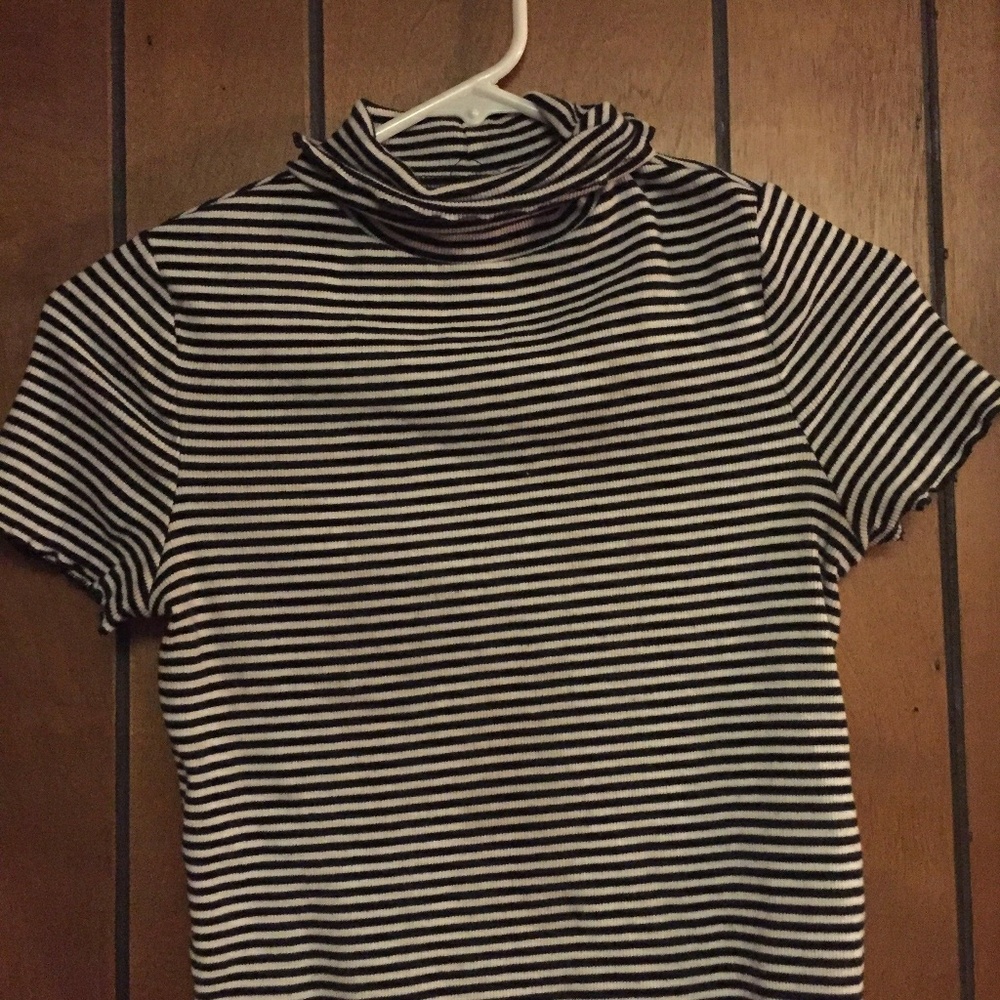 Turtle neck Crop top